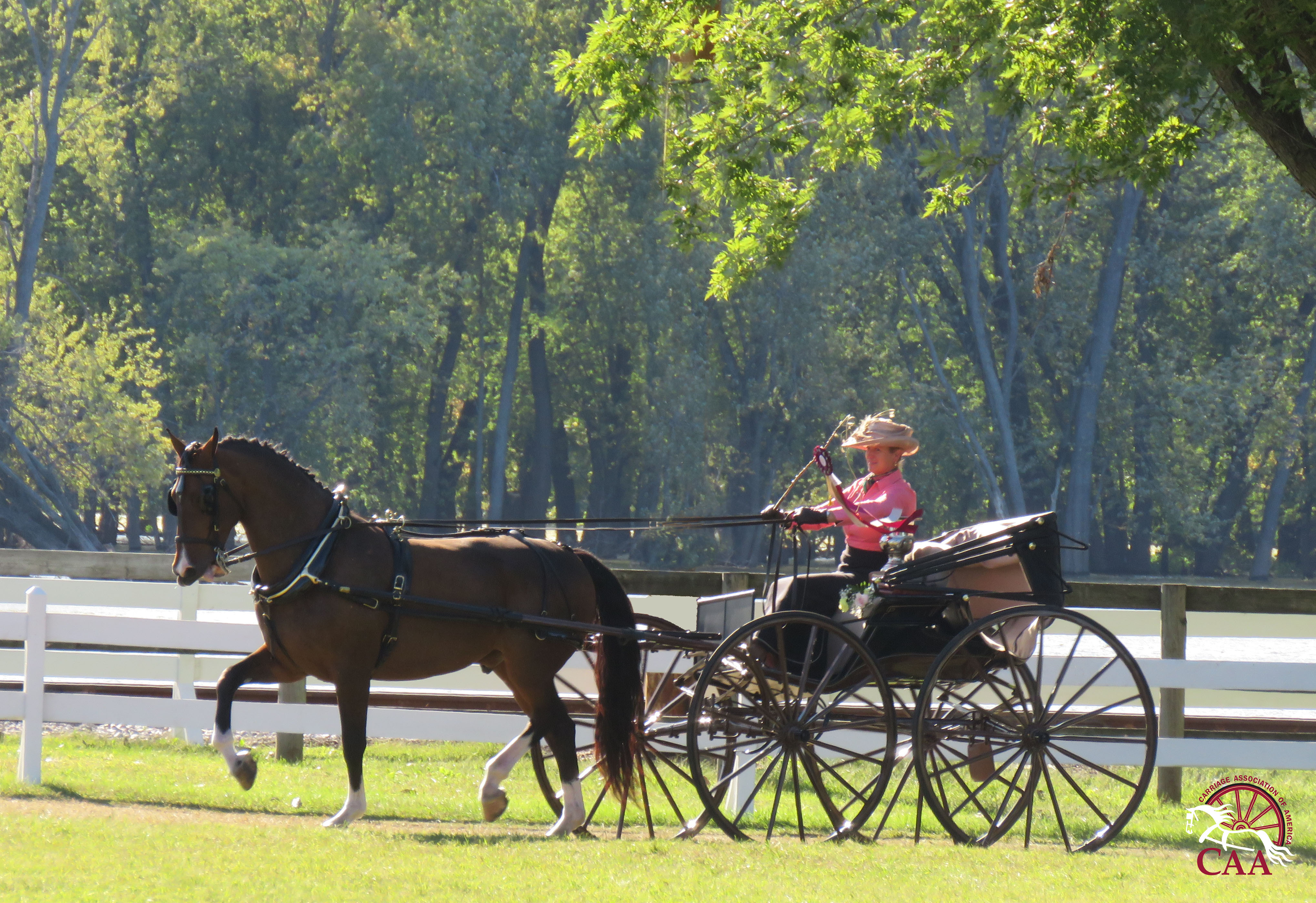 CAA Carriage Showcase at Villa Louis Carriage Classic Carriage Association of America